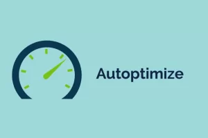 wordpress plugin speed optimizer