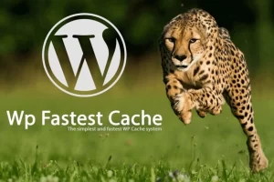 wordpress website speed optimization plugin