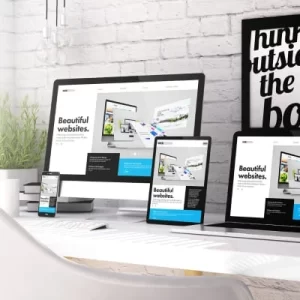 web development course
